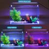 Ultra-Thin Aquarium LED Light with Blue-White Tricolor for Aquatic Plants and Fish Tanks