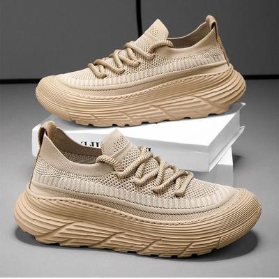 Spring Men's Shoes 2025 New Net Shoes Sports Shoes Casual Shoes Breathable Thick-soled Versatile One-pedal Fly-woven Socks Shoes