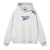 Reebok Sweatshirts Unisex Hooded Moderate Other 26SRMGL7U