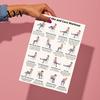 Seated Exercise Guide 2 Sheets Core Poster, Chair Workout Chart for Portable Reference Abs, Home Gym Wall Art, Strength Training Seniors