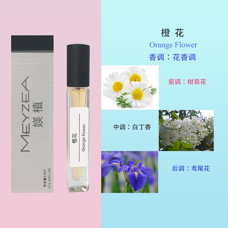 12Ml Perfume Green Encounter Cologne Men and Women Strong Fragrance Light Fragrance Stall Perfume Straight Hair