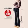 Slight shark pants women's outer wear spring and autumn thin thickened lamb wool leggings high waist hip yoga flared pants