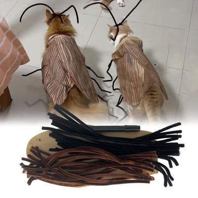 Gatos – Ropa