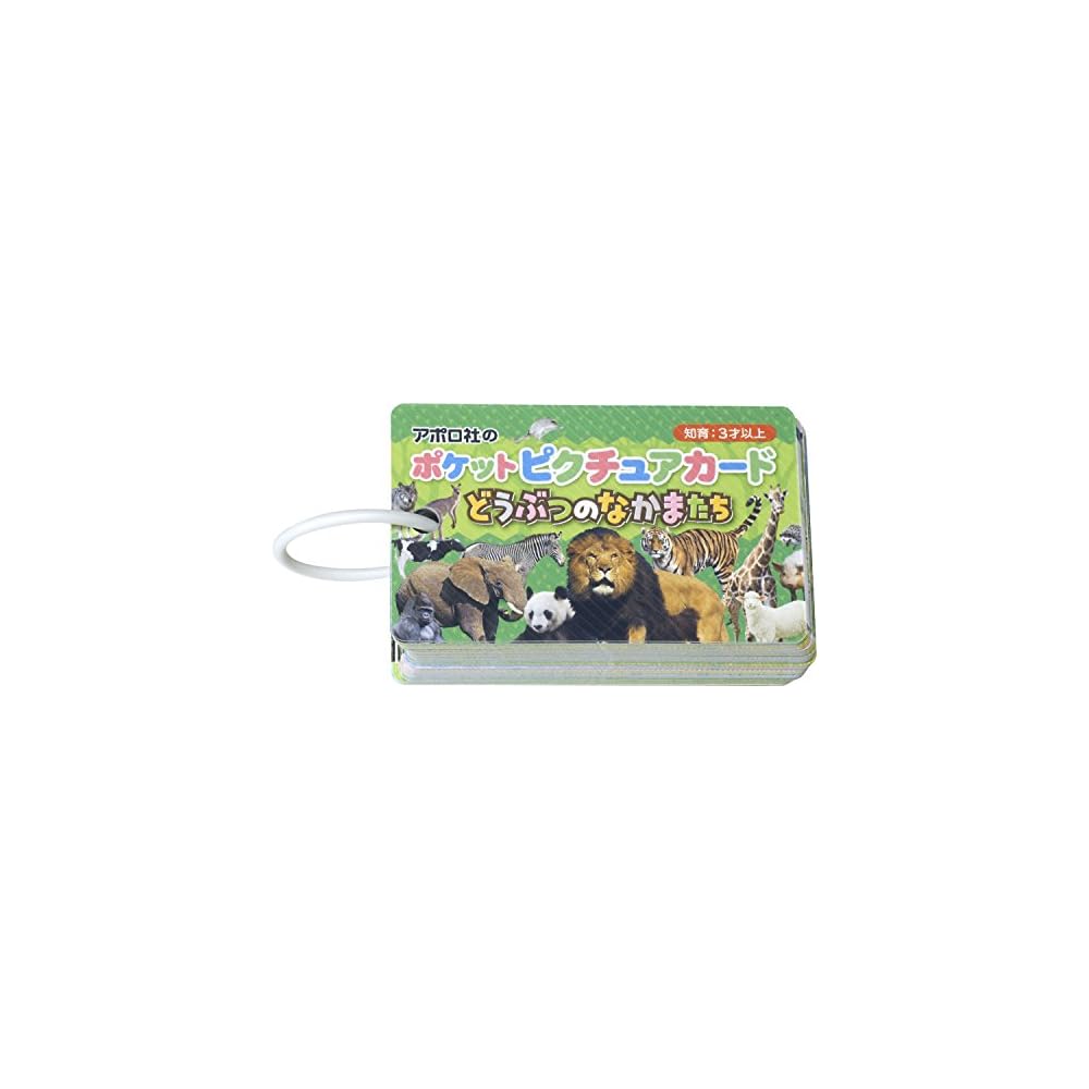 Epoch Pocket Picture Cards Animal Friends 08-305 with Ring and Clear Cover for Ages 3 and Up Toy
