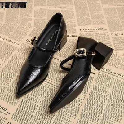 Women Shoes Luxury Designer Shoes Vintage Pointed Toe Mary Jane Shoes for Women 2026 Elegant Shallow Shoe Dress Thick Heel Shoe