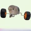 Parrot Toys Boredom Relief Balance Car Small and Medium Bird Supplies Pulley Skateboard Skills Training Props Xuanfeng Bird