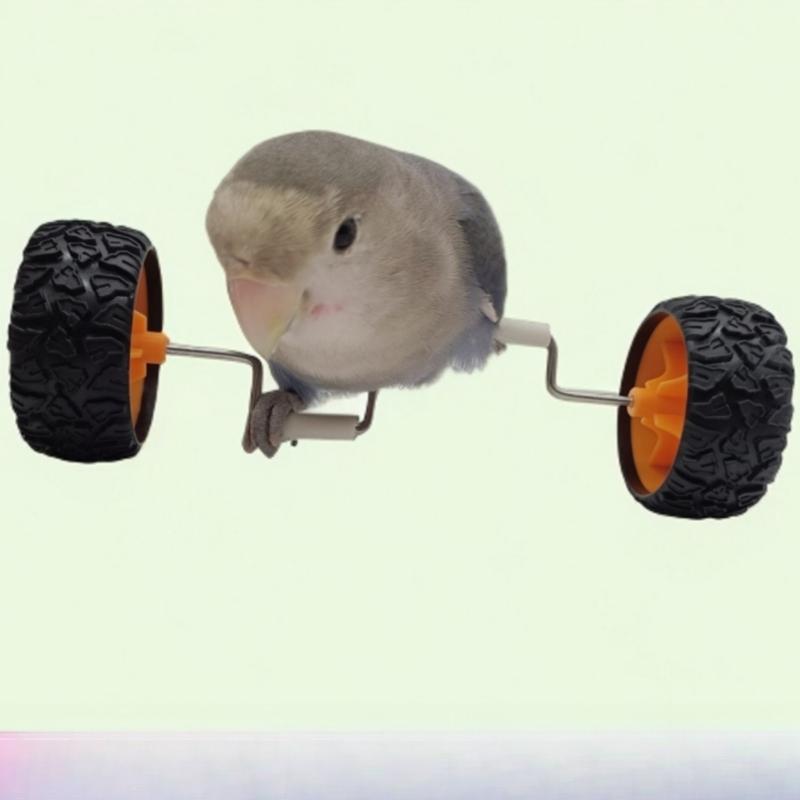 Parrot Toys Boredom Relief Balance Car Small and Medium Bird Supplies Pulley Skateboard Skills Training Props Xuanfeng Bird