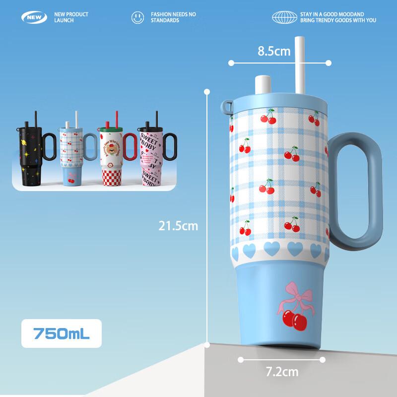 WQ 316 Stainless Steel Insulated Straw Tumbler 750ML