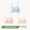 Second and Third Stages, Seamless, Breathable and Skin-friendly, Middle and High School Students' Small Vest, Tube Top, and Girls' Underwear 