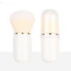 Telescopic Portable Capsule Makeup Brush - Blush Brush & Beauty Tool