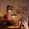 LVWIT E26 LED Filament Bulb 20W Dimmable RGB Color Temperature Remote 4 Pack