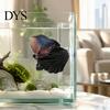 Pești și animale marine – Decorul acvariului
