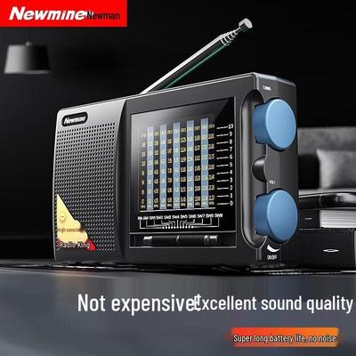 Altoparlante Radio Portatile Ricaricabile Newmine T-6629 spina CN (adattatore incluso)
