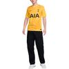 Nike Tottenham Hotspur 2024/25 Stadium Goalkeeper Men's Nike Dri FIT Soccer Short Sleeve Replica Jersey FN8804-720