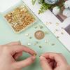 Flat Round 304 Stainless Steel Stud Earring Settings, with 304 Stainless Steel Ear Nuts, Real 18K Gold Plated, Tray: 6mm, 8x1.5mm, Pin: 0.8mm