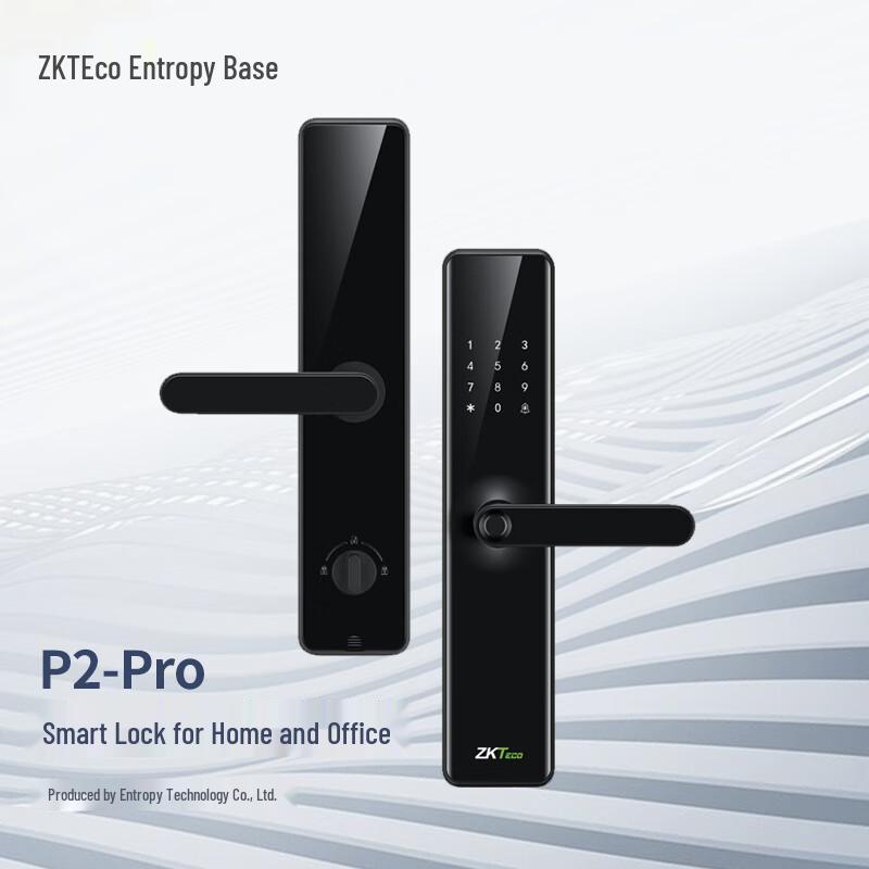 ZKTECO Fingerprint Password Access Control & Attendance System CN plug (adapter included)