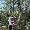 Aokedu Gasoline High-Branch Pole Saw & Pruner