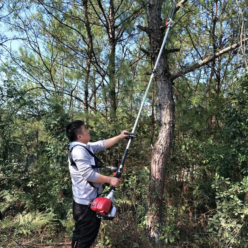 Aokedu Gasoline High-Branch Pole Saw & Pruner