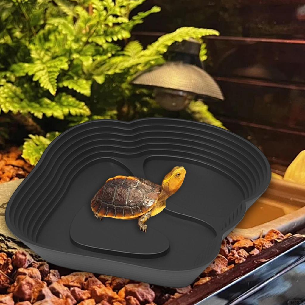 Reptile Water Dish Turtle Bath Pool PP Material Terrarium Feeding Plate User Friendly for Tortoise Accessories Setup
