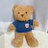 Cute Hug Bear Teddy Bear Doll Doll Sleeping with Clothes Bear Rag Doll Plush Toy Gift