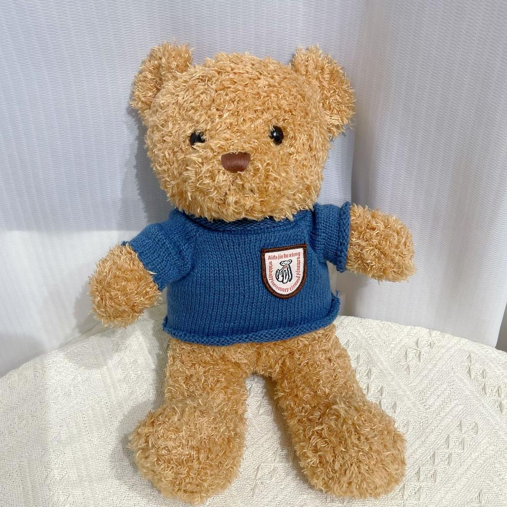 Cute Hug Bear Teddy Bear Doll Doll Sleeping with Clothes Bear Rag Doll Plush Toy Gift