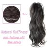 A Ponytail Wig for Women with a Semi Curled Ponytail Wig and a Ponytail Braid for Daily Use