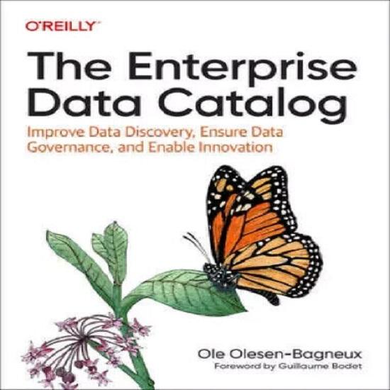 oreilly The Enterprise Data Catalog Paperback