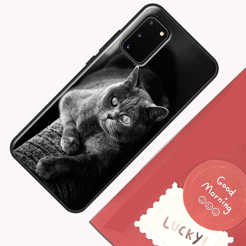 Beautiful Grey British Shorthair Cat Phone Case For Samsung Galaxy S26 S25 Ultra S20 S21 S22 S23 S24 S10 Plus S25 FE Cover Shell