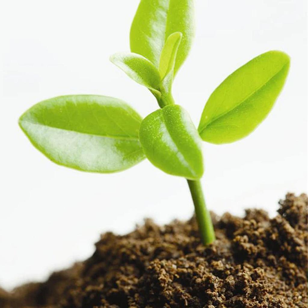 Organic Coconut Coir for Plant Concentrated Seed Starting Mix Seed Starter Soil Block Potting Fertilizers Garden Supply