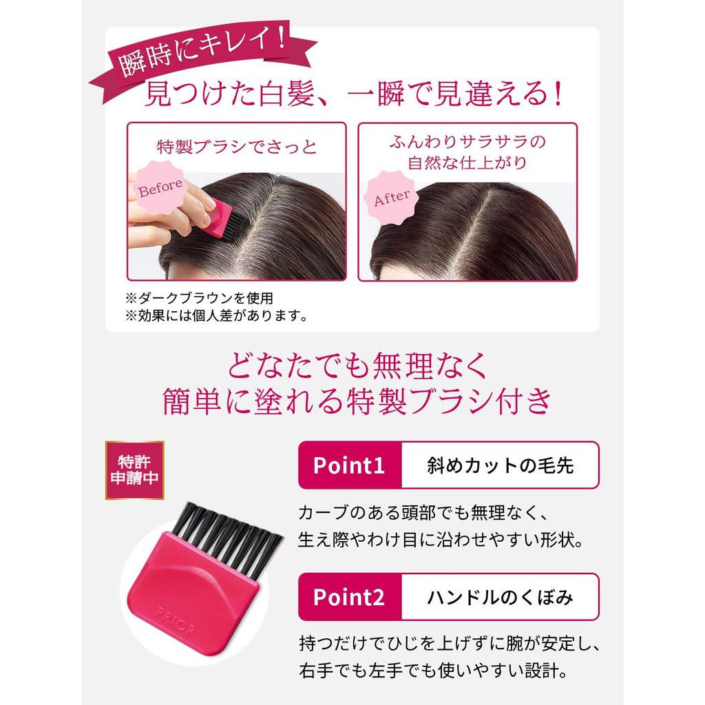 PRIOR Hair Foundationfor Gray Hair 3.6g - Natural Gray Coverage Touch-up Hair Concealer