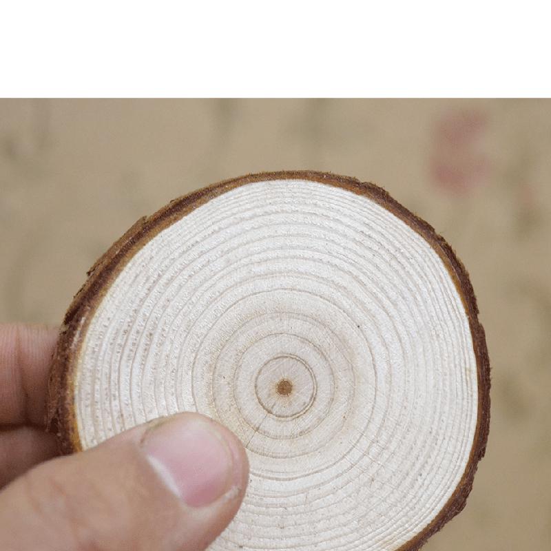 Natural Log Slice Piece Cup Mat Coaster Tea Coffee Mug Round Holder Creative Wood Hand Painted Photo Shooting Props, Multiple Size for Choice