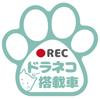 My Craft | Draneko-equipped Car Sticker | Drive Recorder Recording, Paw Design, Cat Lovers Must-see! (Dull Green)