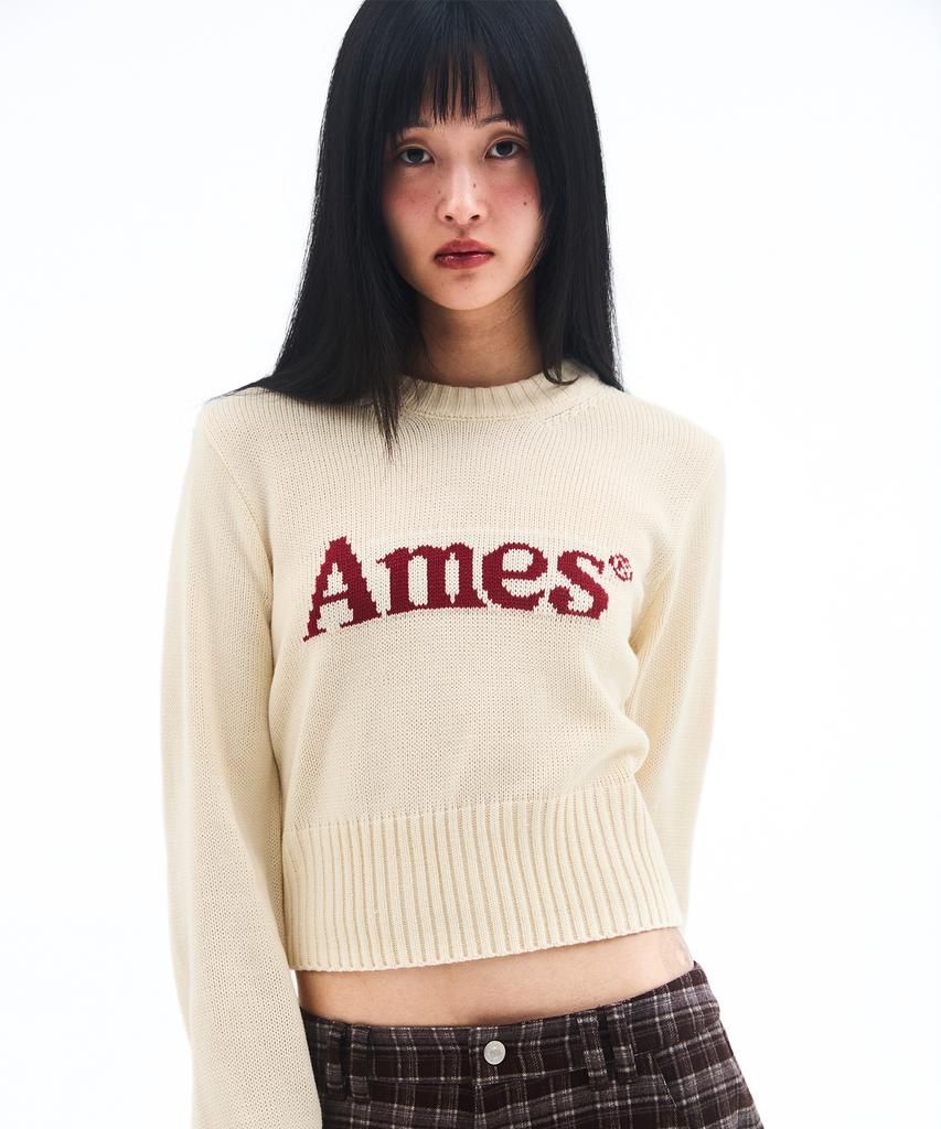 AMES-WORLDWIDE Basic Pullover Knit Ivory