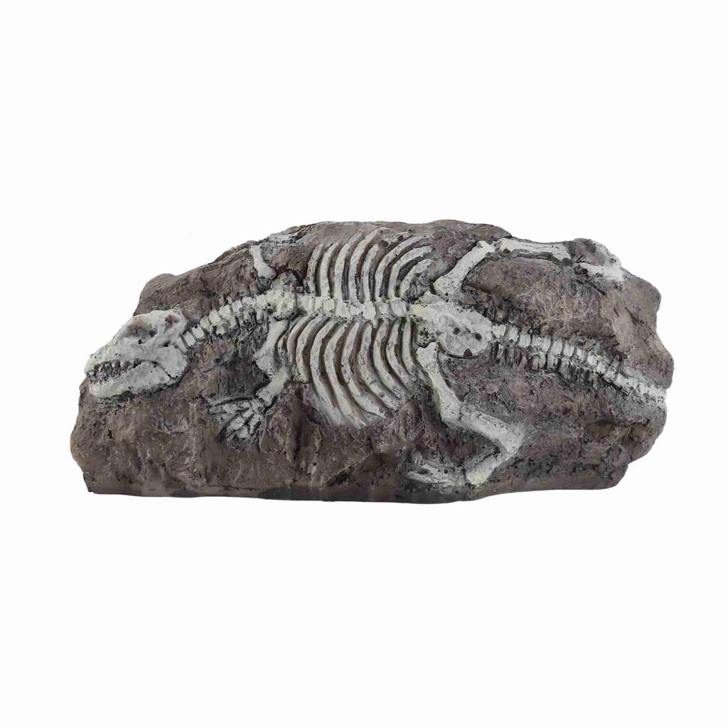 Aquarium Dinosaur Reliquiae Decoration Reptile Resin Dinosaur Reliquiae Rock Hideout for Fish Tank