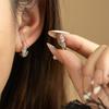 Super Flash Zircon Ice Crystal Leaf Ear Buckle Fashionable Versatile Niche Light Luxury Earrings Women'S High-End Simple Commuter Earrings