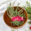 Wood Bowls Ritual Tableware Board Game Divination Astrological Tool Altar Bowl Decoration Witchcraft Props Supply