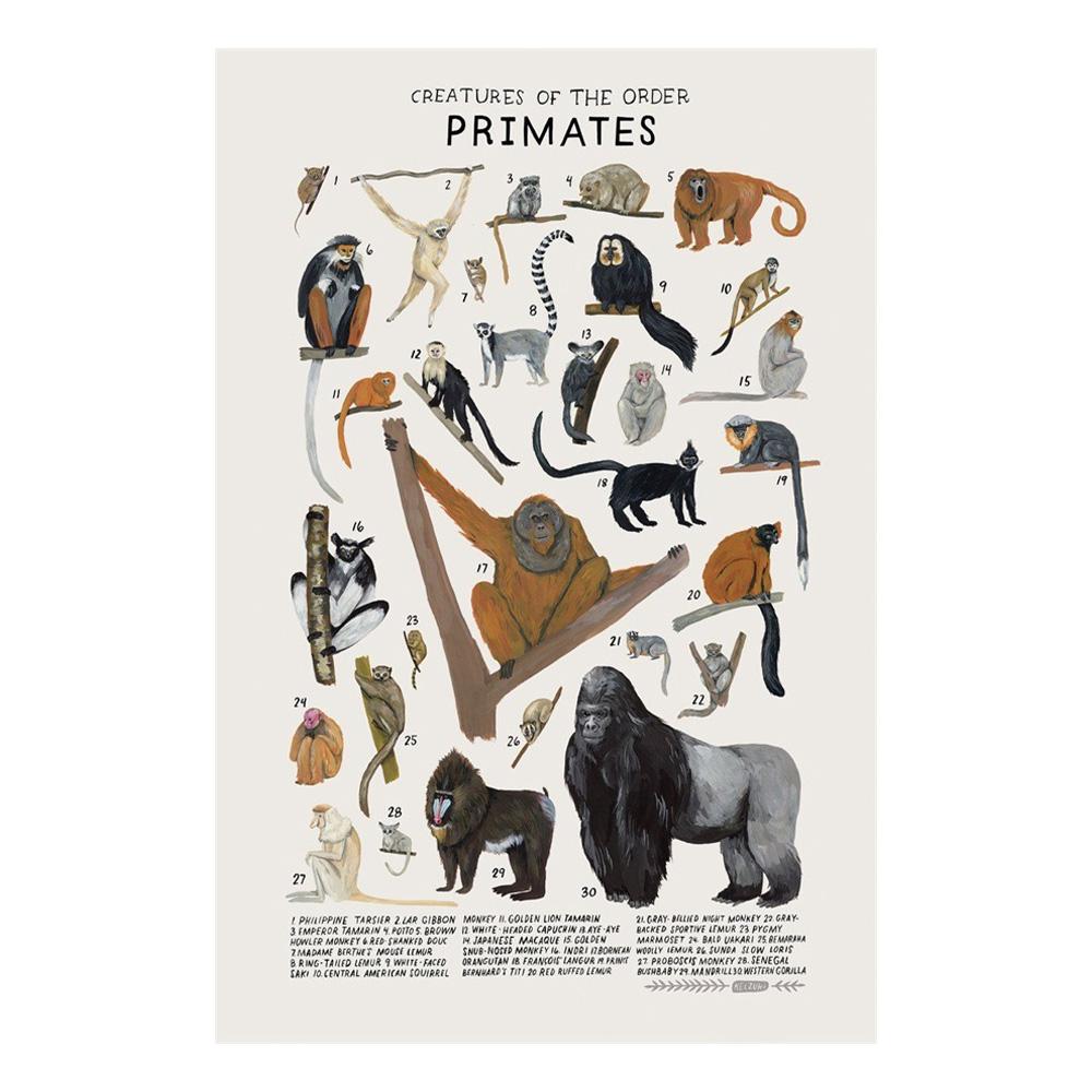 Abstract Marine Organisms Jellyfish Whale Squid Fishes Posters Canvas Painting and Prints Wall Art Picture for Room Home Decor