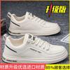 Summer Breathable Coconut Men's Shoes 2025 New Versatile Running Mesh Shoes Men's Casual Trendy Shoes