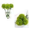 Floral Arrangements Artificial Dianthus Flower Artificial Pom Pom Flower  Photography Props