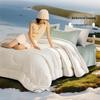 Fuanna 60% Soybean Fiber Antibacterial Winter Duvet