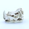 Mini Realistic Rhinoceros Skull Resin Decoration, Fish Tank Landscape Decoration, Skeleton Decoration for Aquariums.