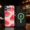Watermelon Art Phone Case For iPhone 17/16/15/14/13/12/Plus/Pro/Max for Magnetic Wireless Charging