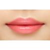 Kiss Me FERME Lip Color & Base 02 Red 2.2g 4 Functions In 1 (dullness Cover, Lipstick Base, Colored Lip, Highly Moisturizing) Tint Type Colored Lip Ba