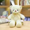 30CM Molti Colori Orsacchiotto Peluche Nuovo Carino Morbido Molti Colori Nastro Farfalla Festival Colore Solido Abbraccio Orsetto Bambola Compleanno
