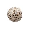 Tiger Skin Parrot Chew Toy - Natural Rattan Ball for Beak Grinding