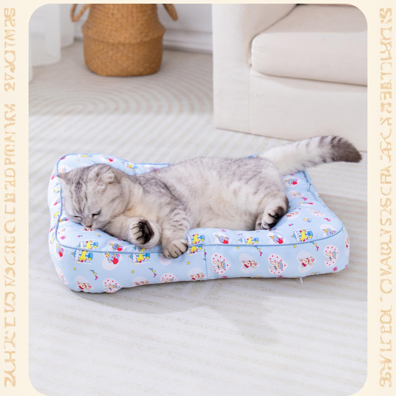 

Толстый коврик для питомца: -Устойчивая 4-спальная кровать для собаки (Бишон) & M