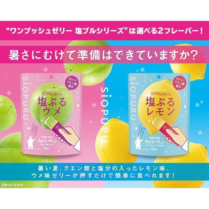 Salt-Puru Lemon Jelly (15g40 sticks) Stick type Heat prevention Salt intake Individual packaging