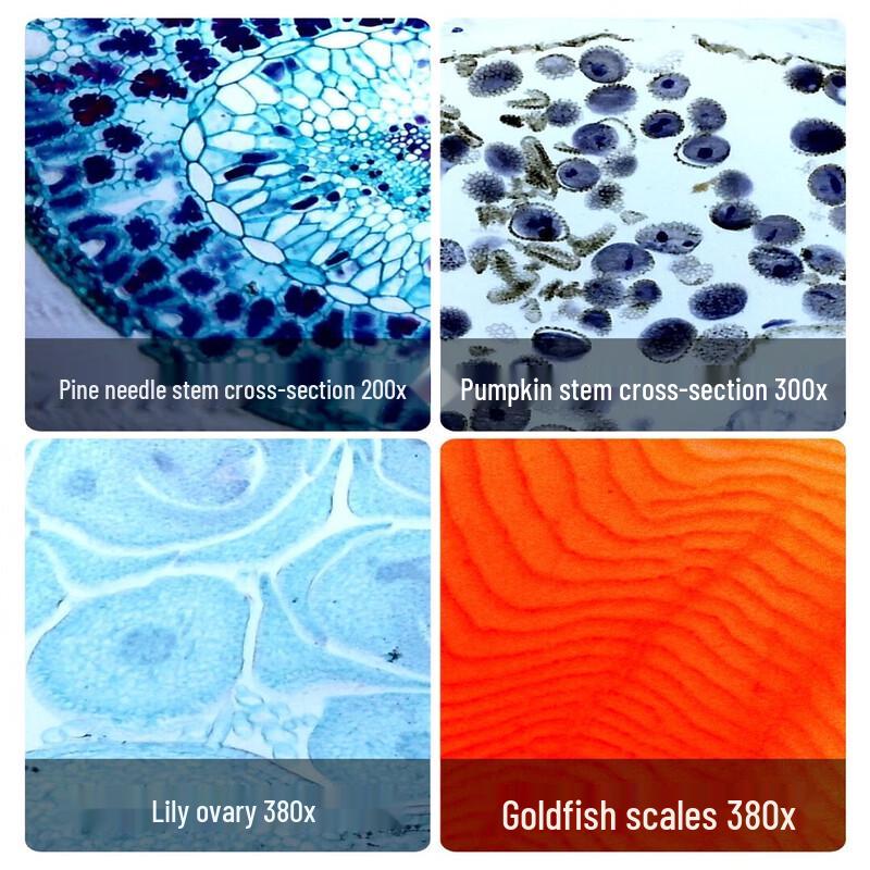Dangdangli Smart Portable Phone Microscope