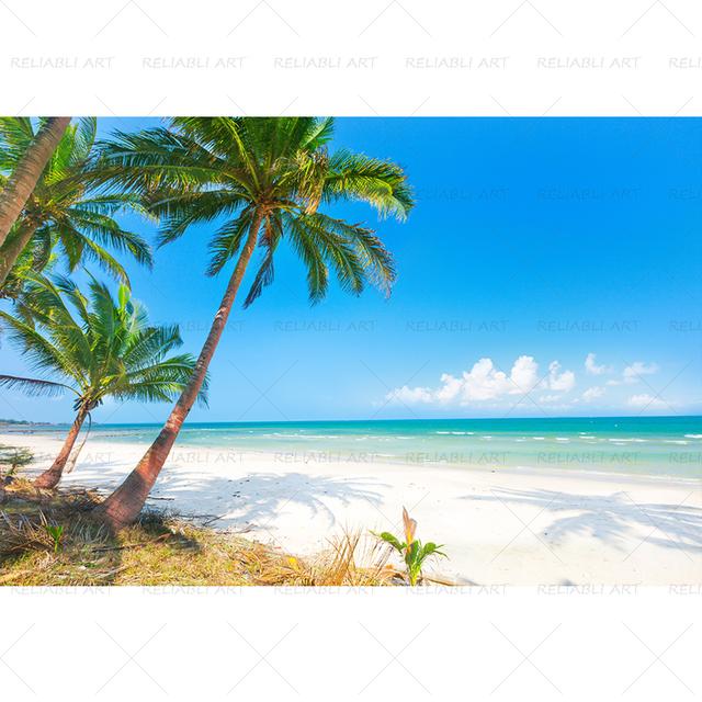 Seaside Beach Palm Tree Coconut Tree Poster Landscape Pictures for Living Room Canvas Painting Prints Modern Home Decor Wall Art