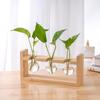 Wood & Glass Hydroponic Bottle - Simple Modern Home Decor